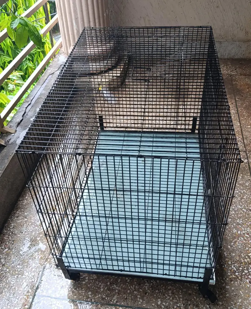 pet cage — photo 3