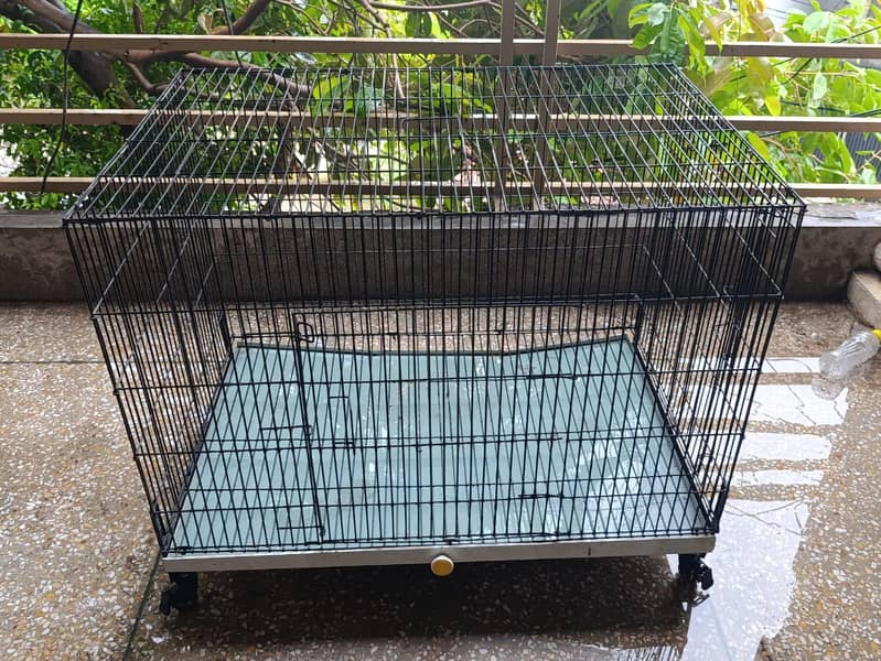 pet cage 3