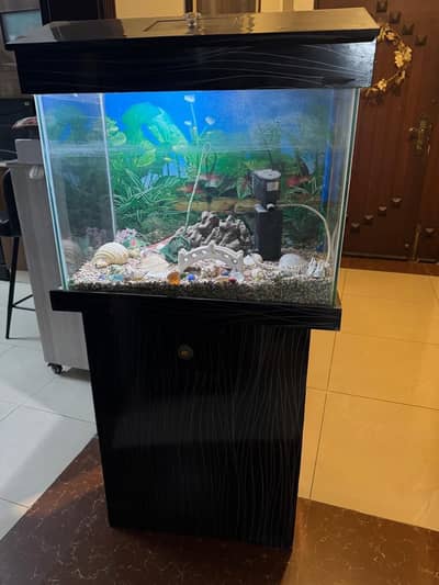 Aquarium for sale