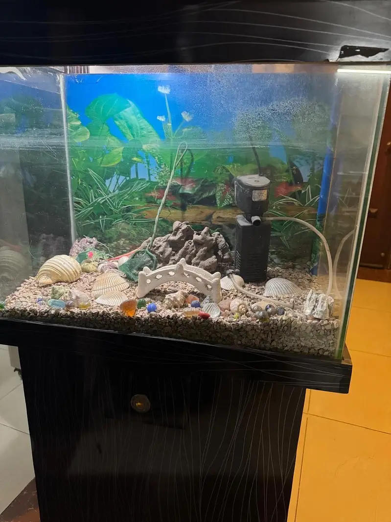 Aquarium for sale — photo 2