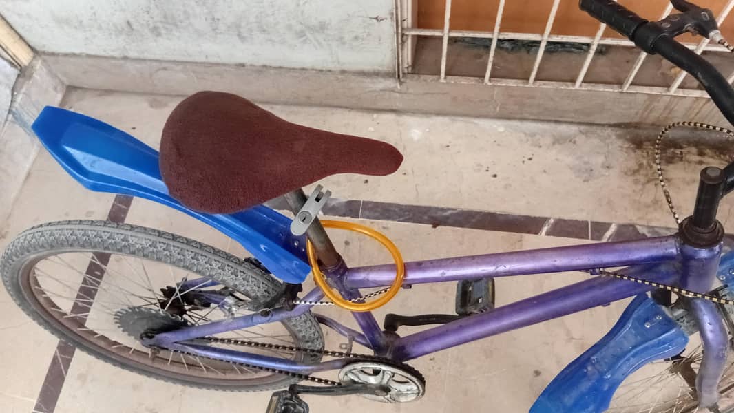 cycle 0