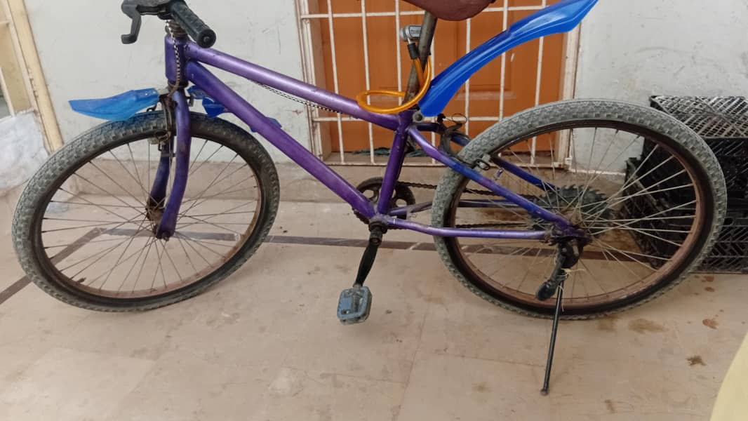 cycle 2