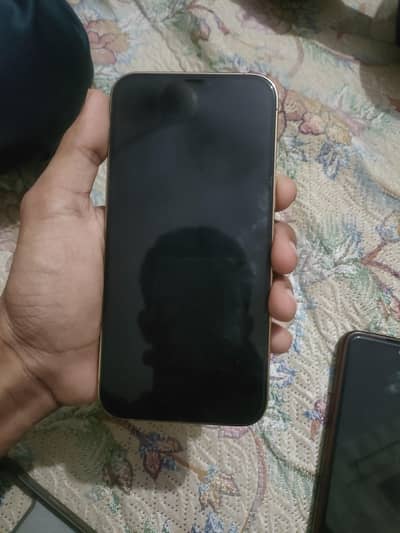 Apple iPhone 12 Pro Max