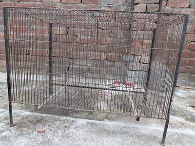 Cage for Sale – Good Condition | 3×1.5×1.5 ft