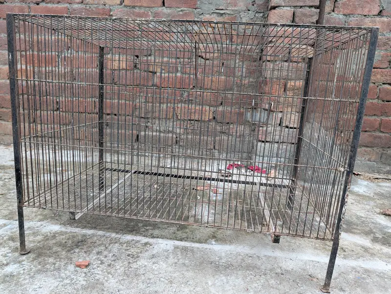 Cage for Sale – Good Condition | 3×1.5×1.5 ft