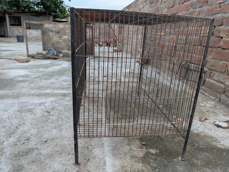 Cage for Sale – Good Condition | 3×1.5×1.5 ft — photo 2