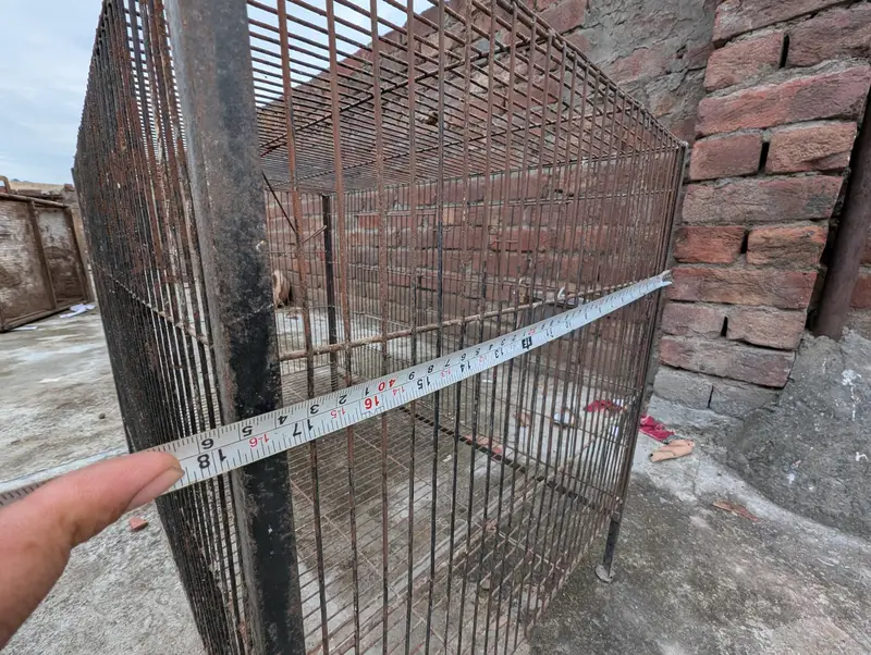 Cage for Sale – Good Condition | 3×1.5×1.5 ft — photo 5