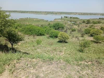 600 kanal faram house land for sale  balkar chakwal interchange