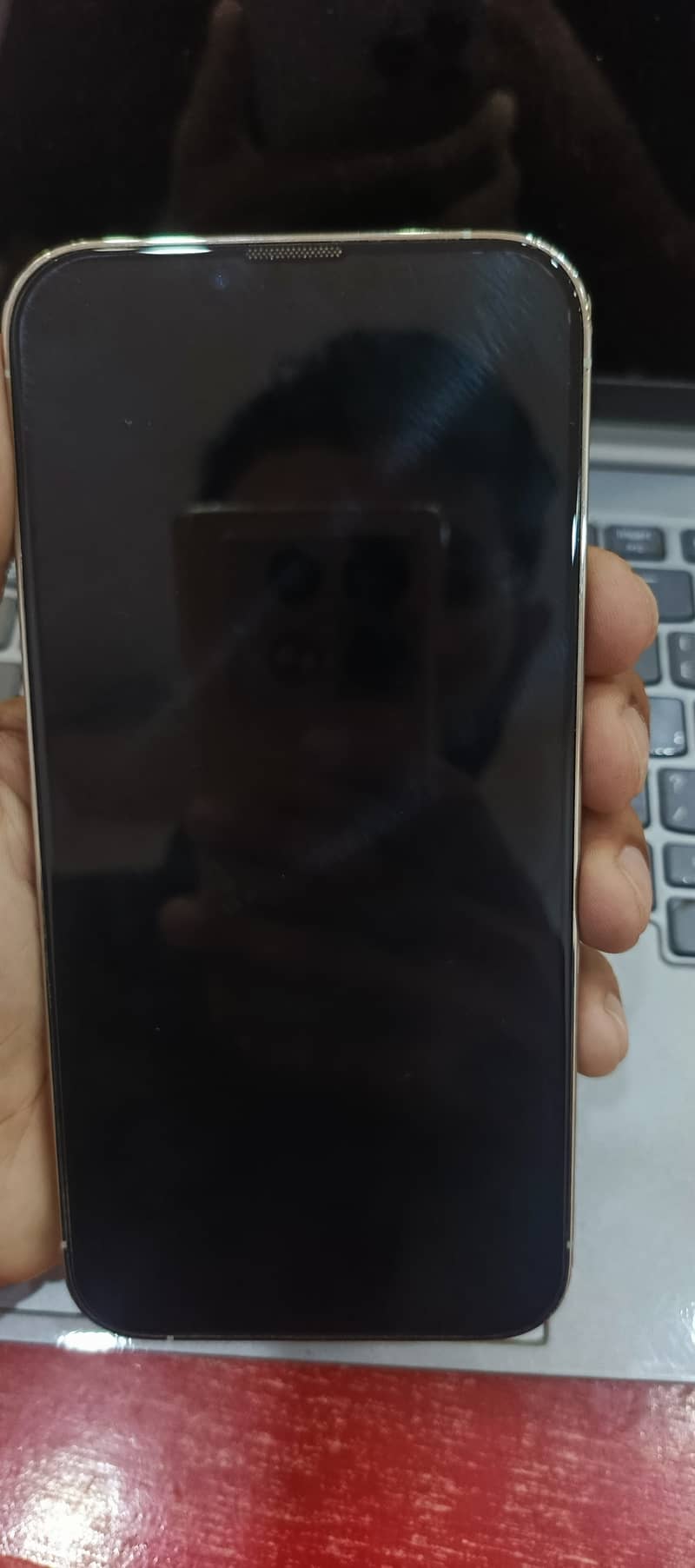 iPhone 13 pro max 2