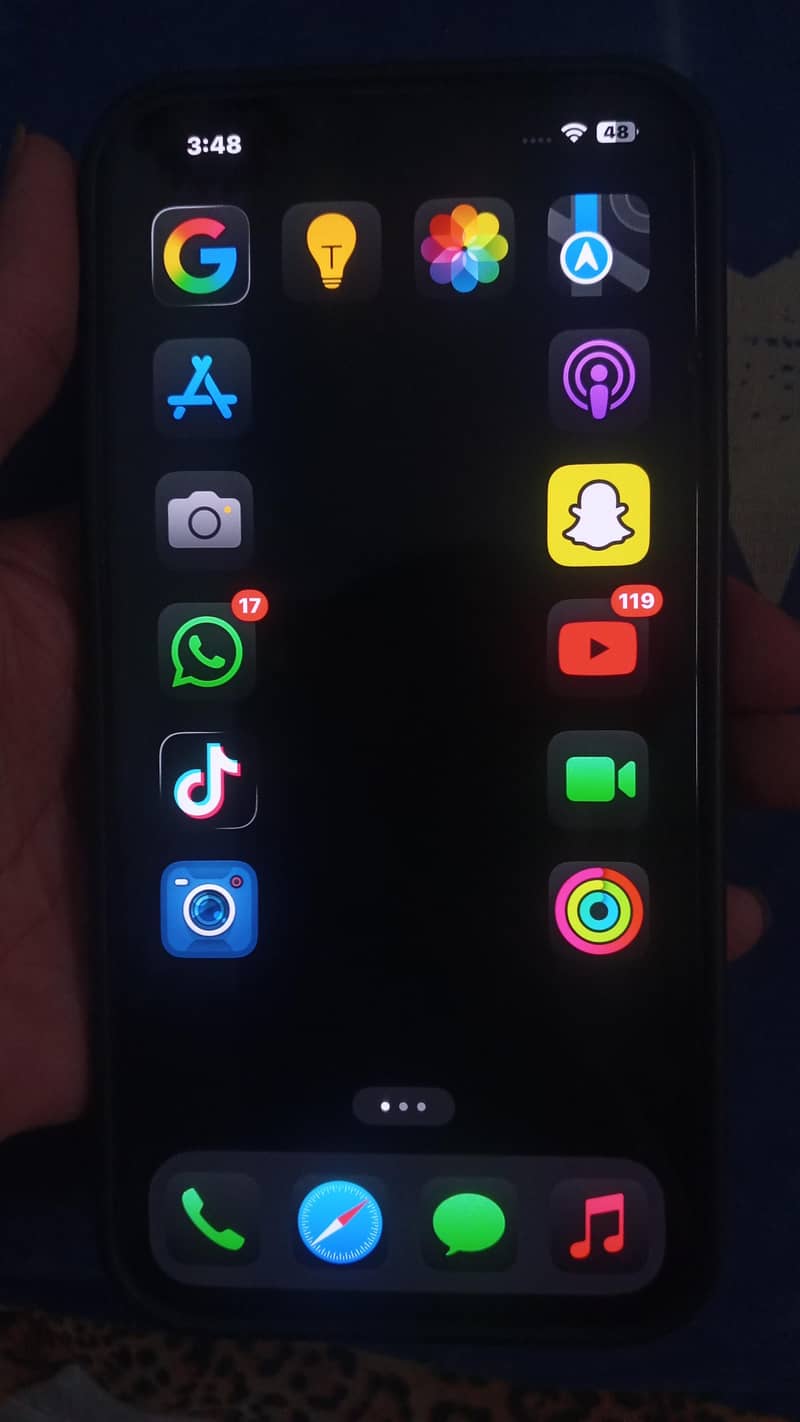 Apple iPhone 13 Pro Max 3