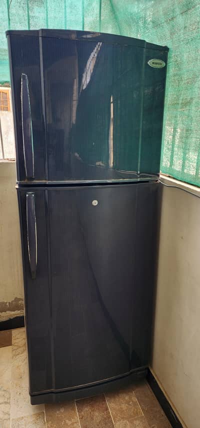 Waves Refrigerator