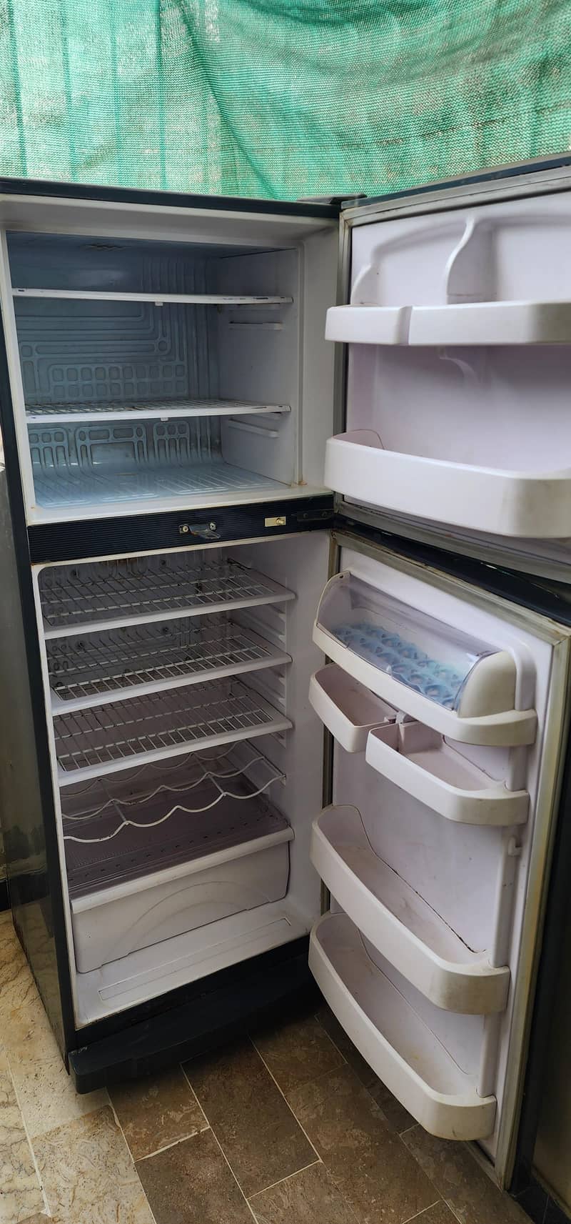 Waves Refrigerator 1