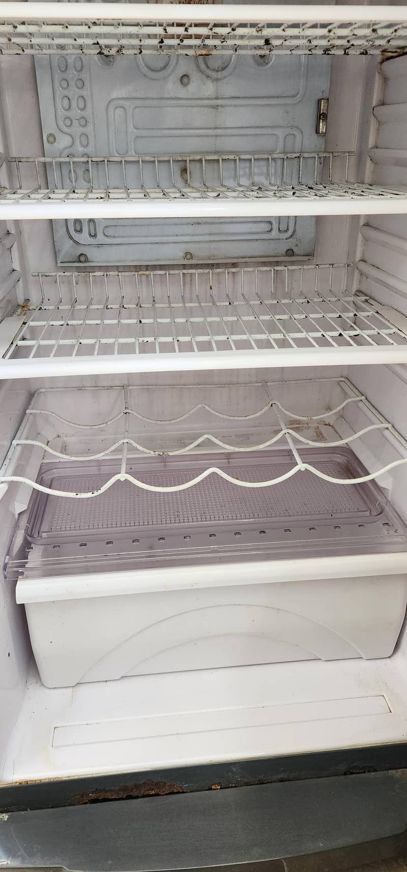 Waves Refrigerator 2