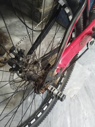 best cycle with good condition