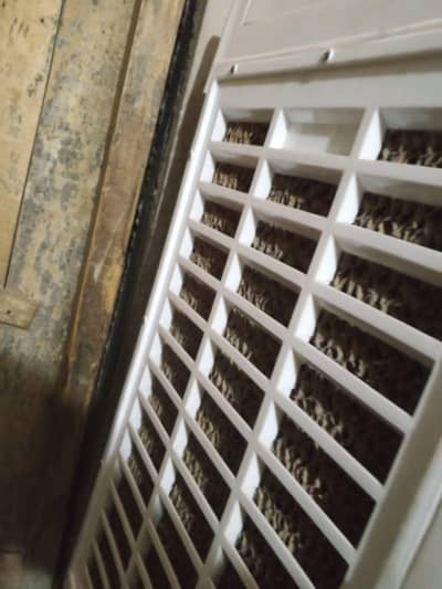 air cooler