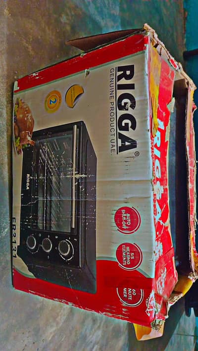 Electric oven