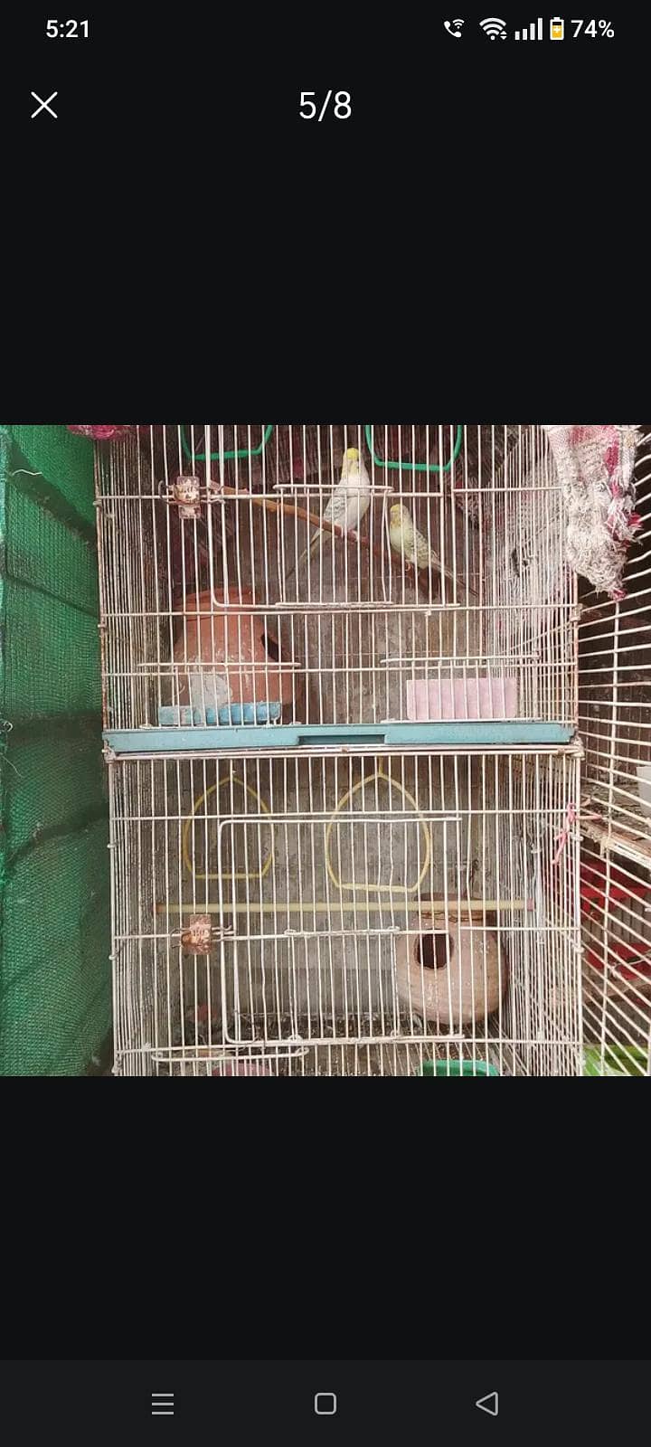 2 portion cage available 2