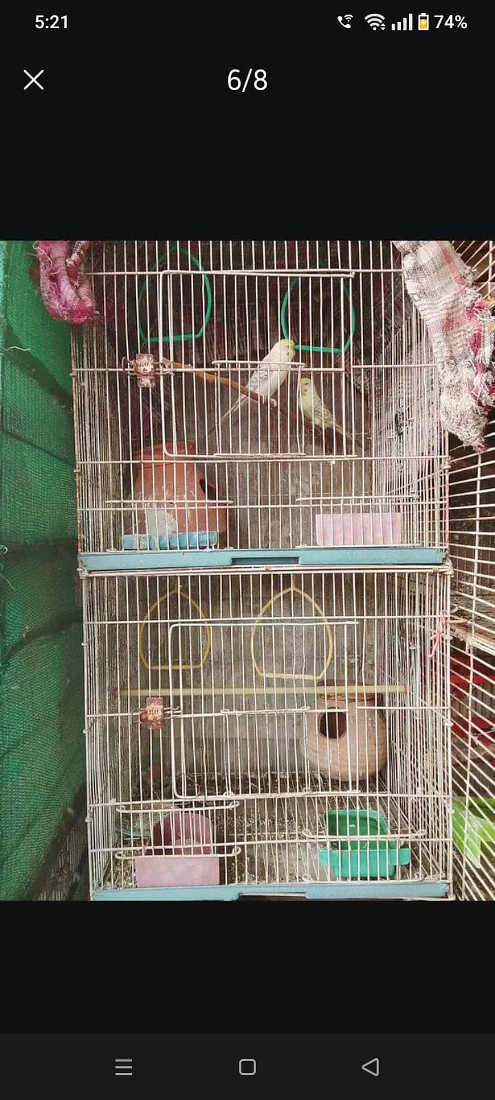 2 portion cage available 3