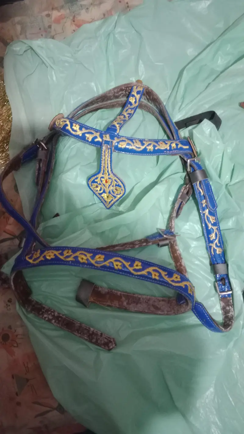 Horse Riding kit — photo 3