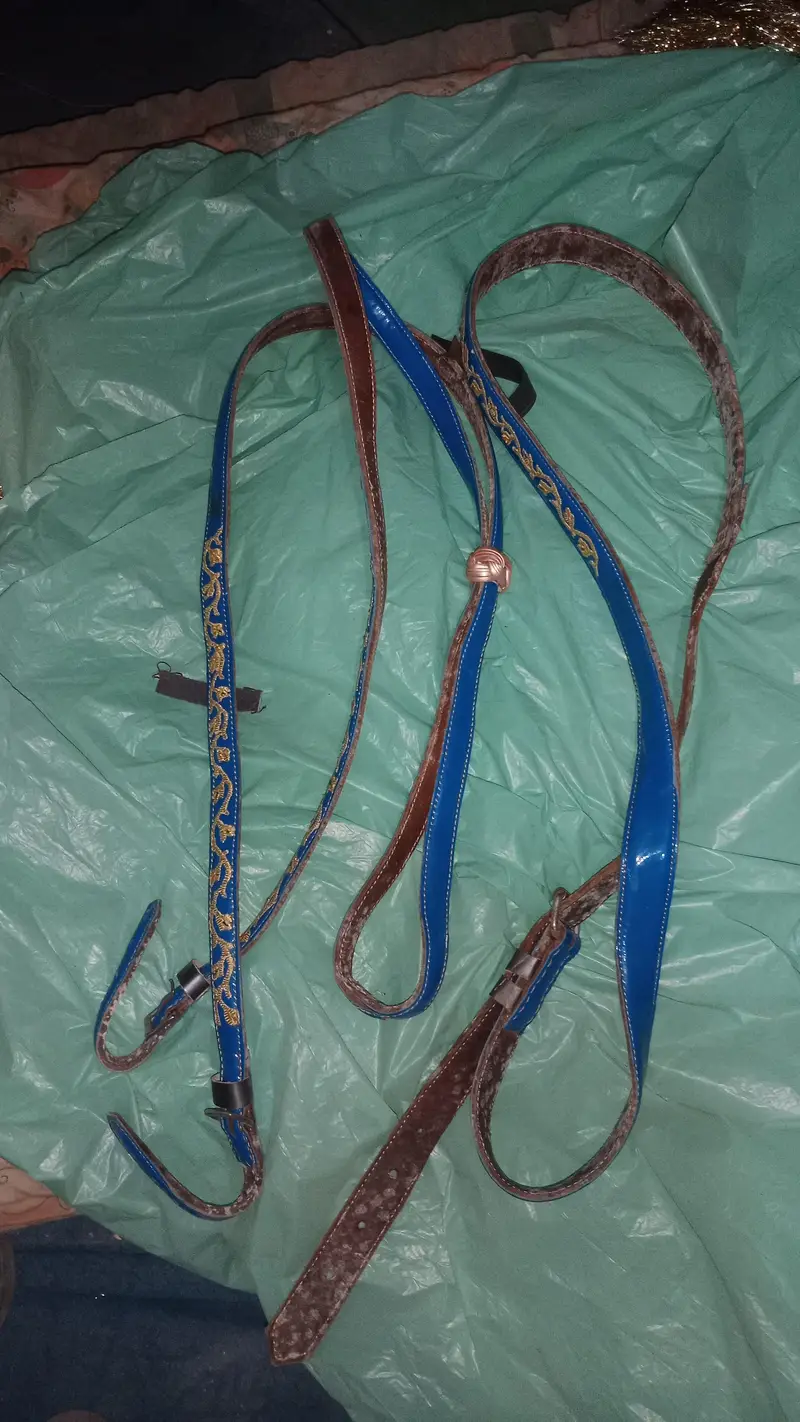 Horse Riding kit — photo 4