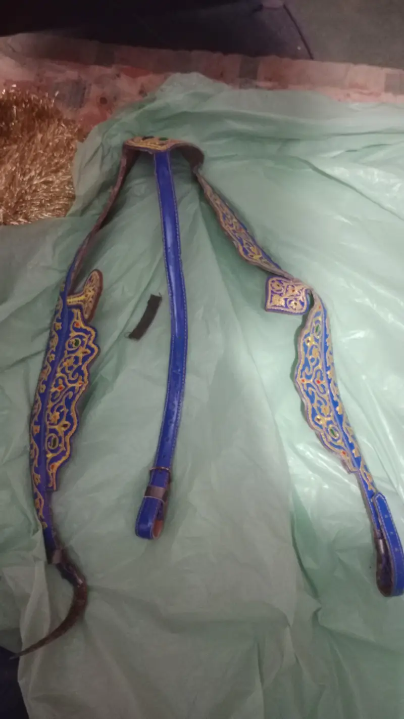 Horse Riding kit — photo 5