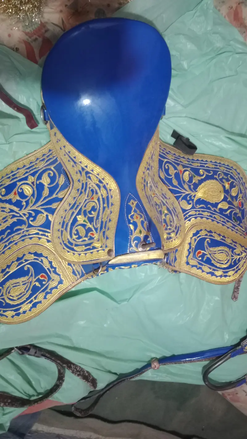 Horse Riding kit — photo 8