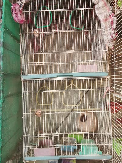 2 portion cage available
