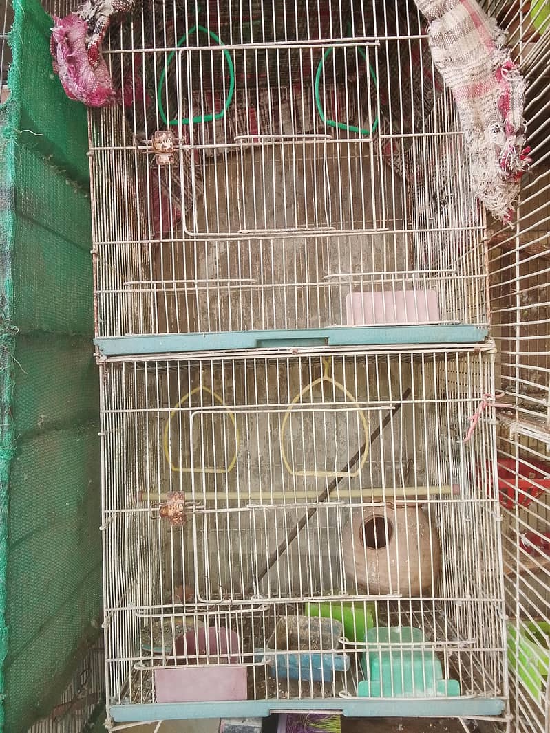 2 portion cage available 0