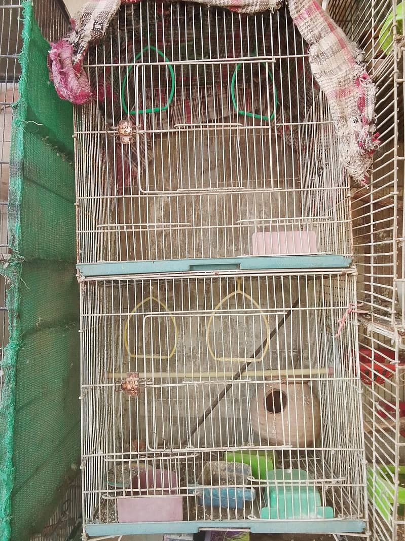 2 portion cage available 1