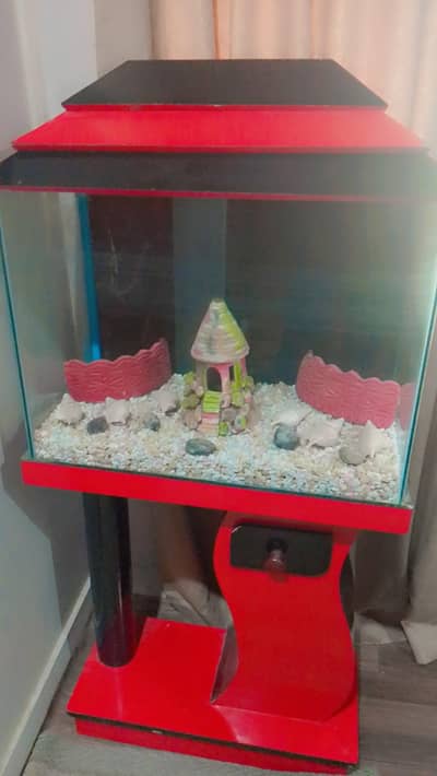 Fish aquarium