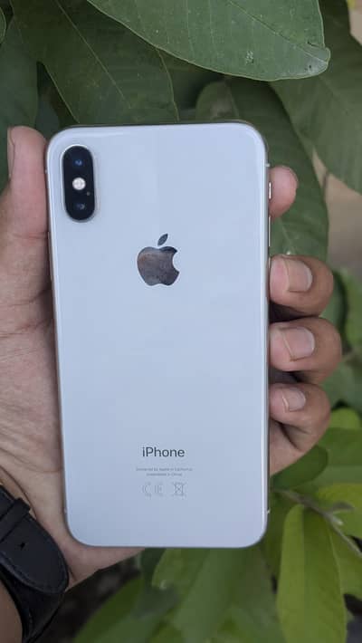 iPhone X