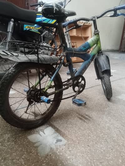 China body Cycle Original paint