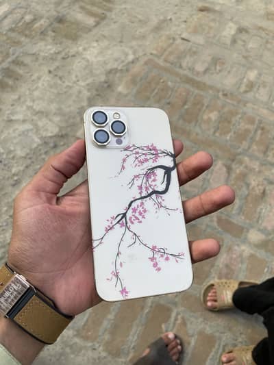 Apple iPhone 12 Pro Max