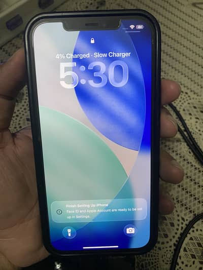 Apple iPhone 12 Pro Max
