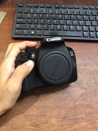 Canon EOS 1300D DSLR + 18-55mm Kit Lens + Yongnuo 50mm f/1.8 EF | Orig