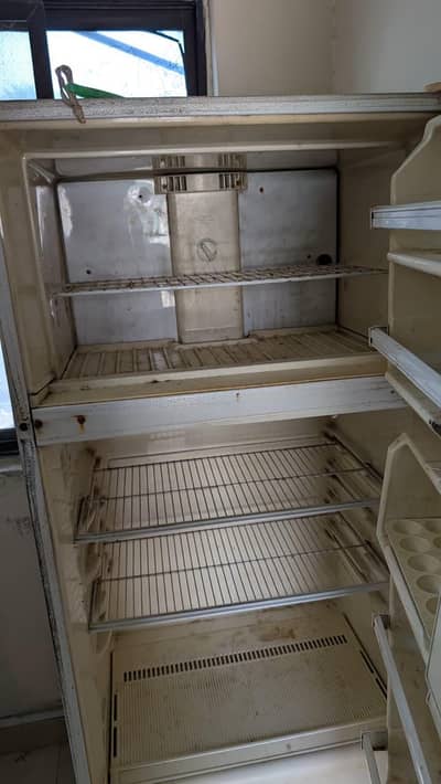 Imported fridge