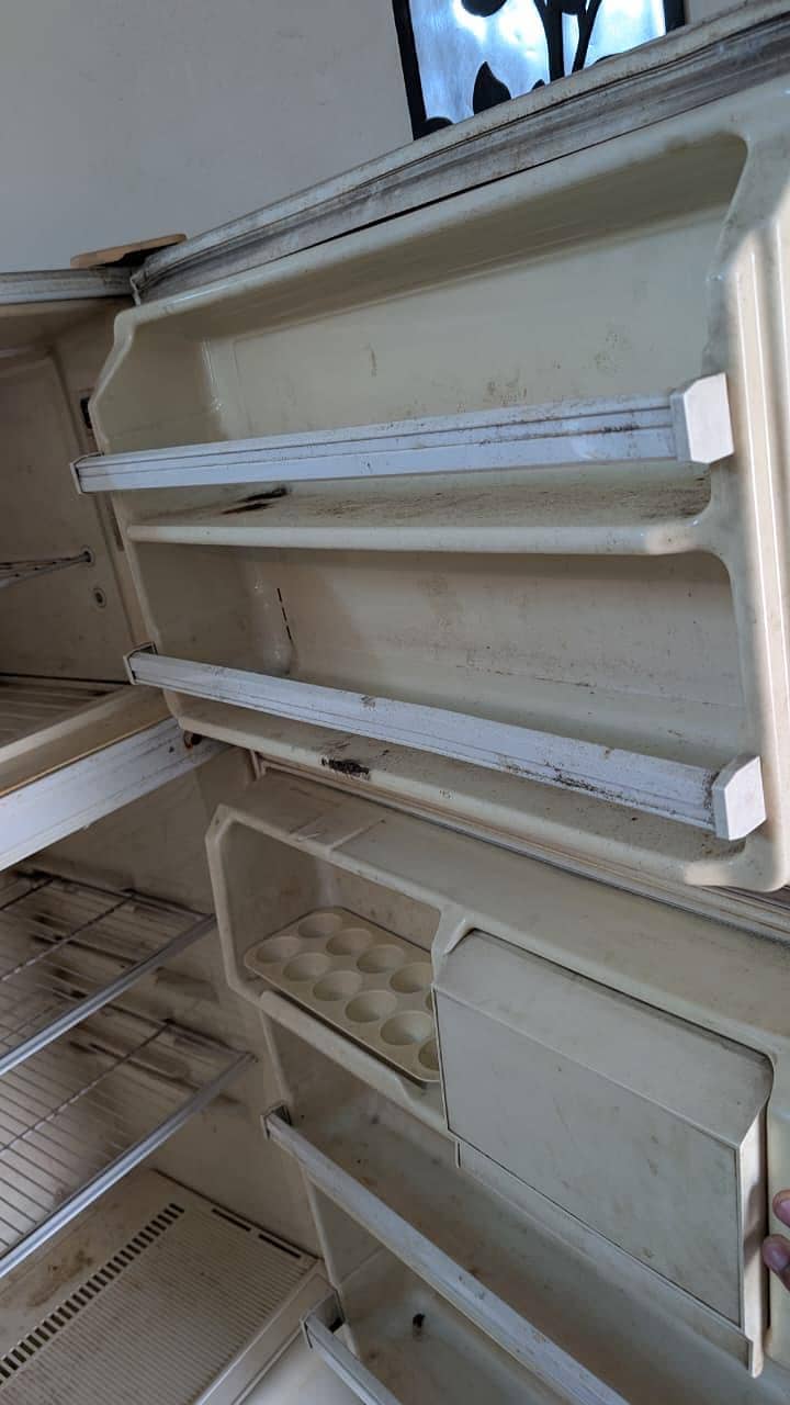 Imported fridge 3