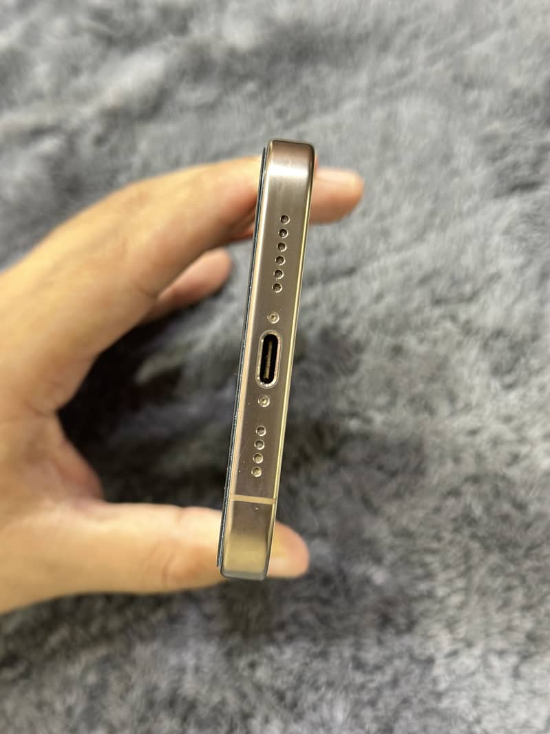 Apple iPhone 16 Pro Max 1