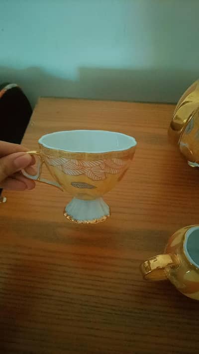 Cheeni Dinner set 72 pieces