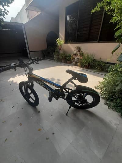 mountain bike