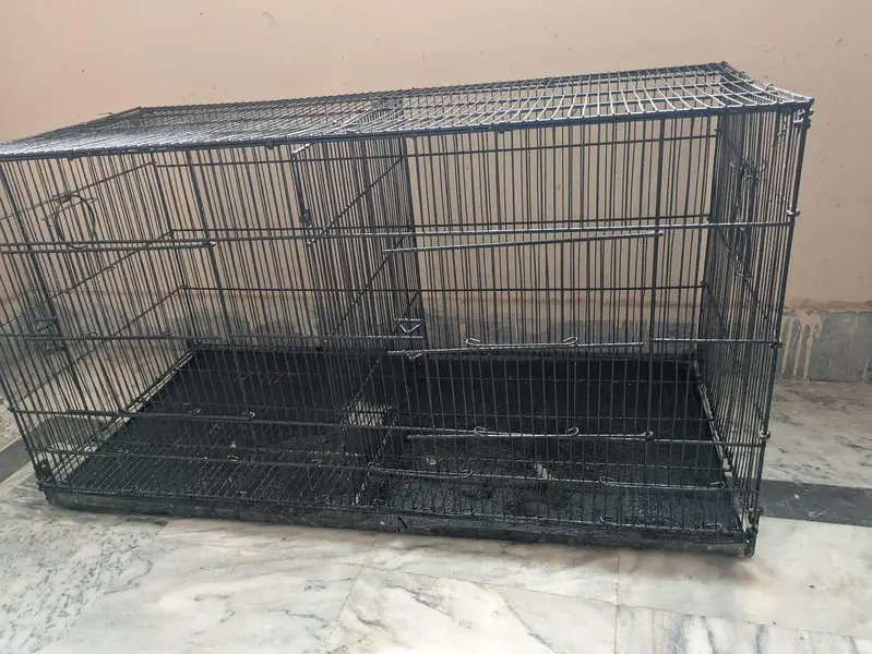 beautiful cages — photo 2