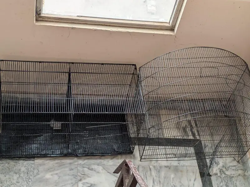 beautiful cages — photo 3