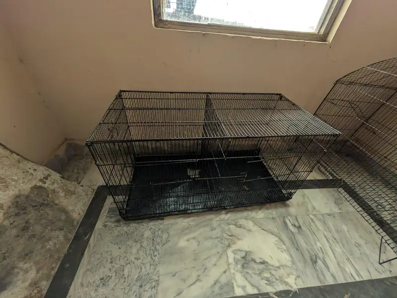 beautiful cages — photo 4