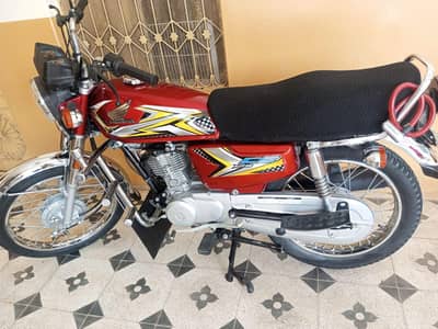 Bicke for sale