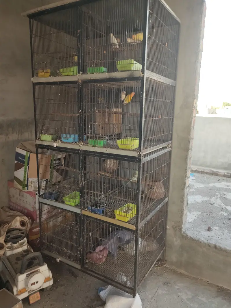 for sale Cage — photo 3