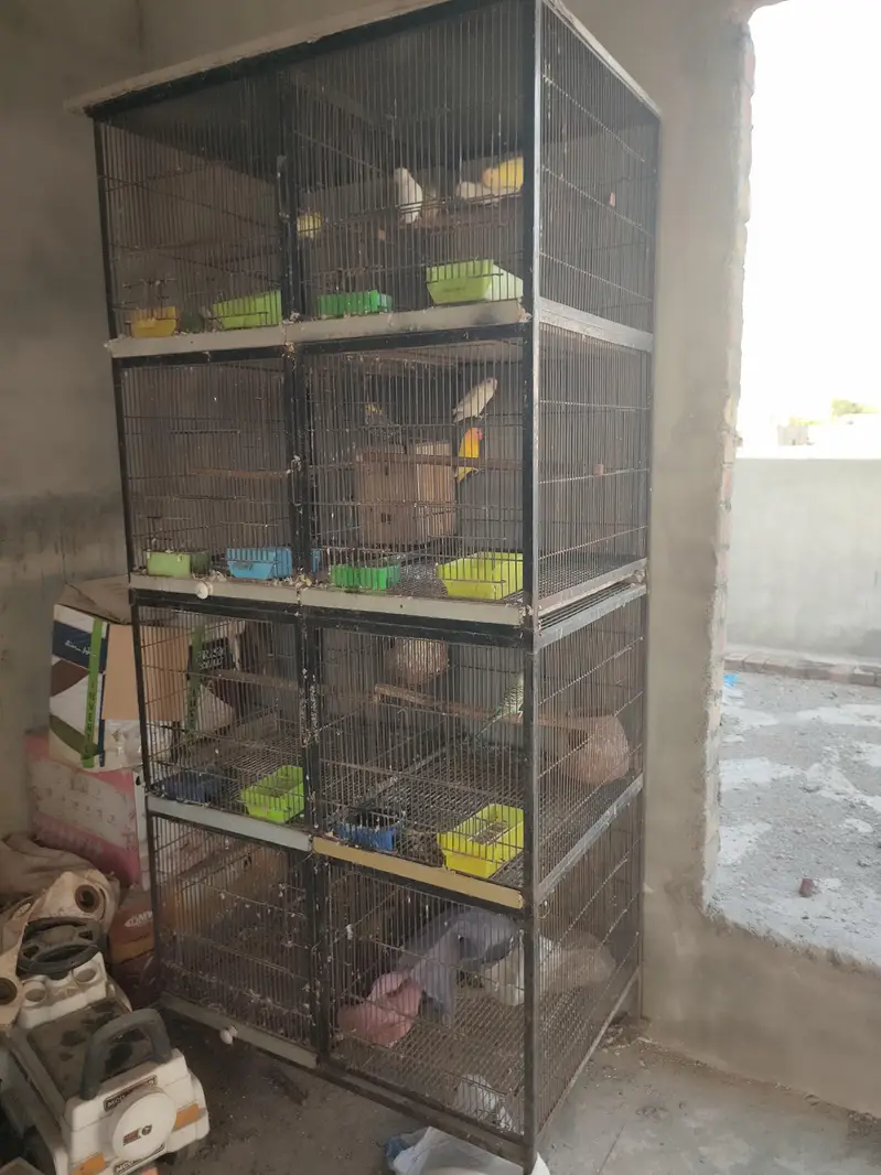 for sale Cage — photo 5