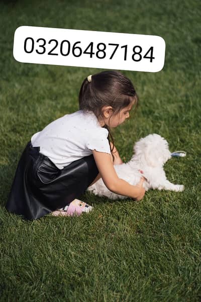 BABY KI CARE K LIYA FEMALE REQUIRED HA