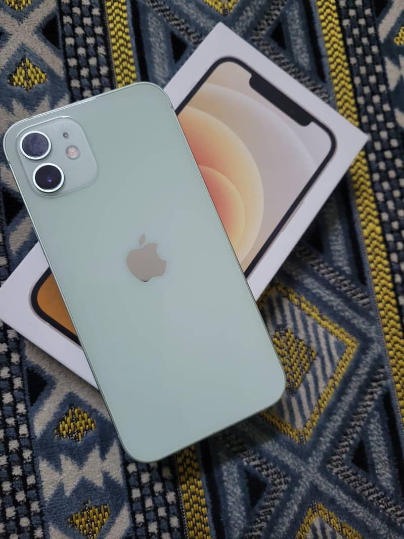 Apple iPhone 12 1