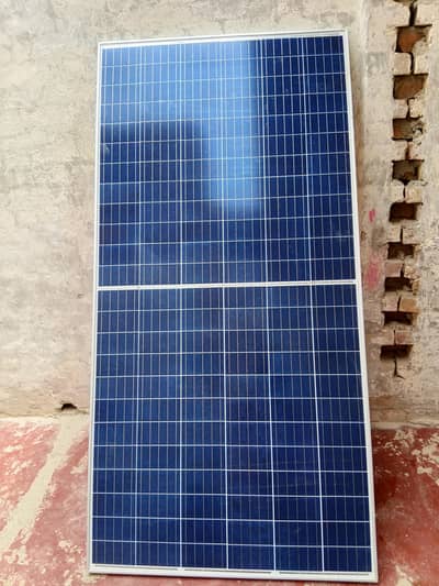 Zoenergy penal for sale