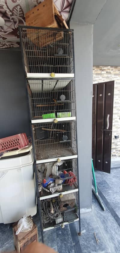 Bird cage 5 portion